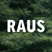 RAUS Steam avatar