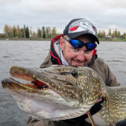 siema to ja szczupak