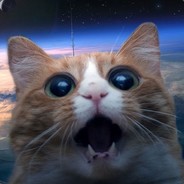 Мистер Кот!