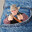 Pocket Cowboy