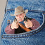 Pocket Cowboy