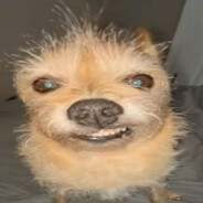 pimp dimple avatar