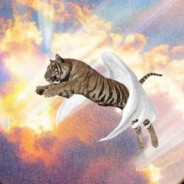 [909]midoriᵃⁿᵍᵉˡ