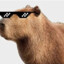 Capybara_Igr
