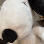 k0smo - steam id 76561199077022508