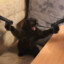 Timoha x 240fps