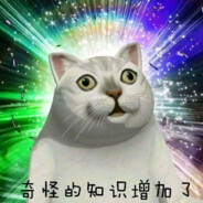 做我的猫