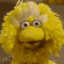 bigbird