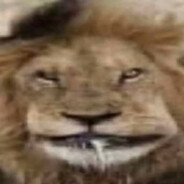 смерть в нищите