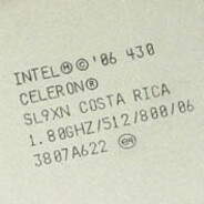 Celeron