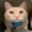 no's avatar