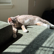 Dirkley