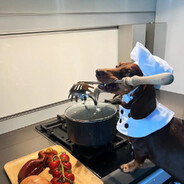 邪恶腊肠毁灭世界