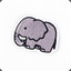 cocco