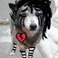 void wolp
