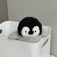 医生我要保大的