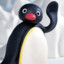 pingu