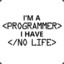 I&#039;m a PROGRAMMER I have no life