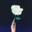 IMM_Wave
