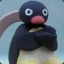 Pingu the Angry Noot