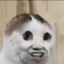 Huds0n