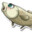 Zioro