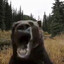 угашенный