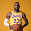 NBA Superstar LeBron James