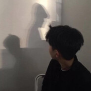 {ALXYYYDS}旧城以西