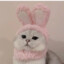MdayCat