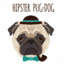 hipsterpug