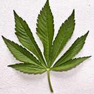 popcorn prisons independence