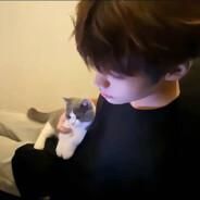 二十四桥明月夜