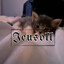 Jeusoll