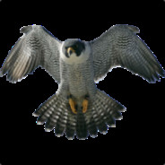 Lex Peregrine avatar