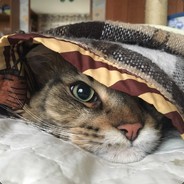 свой гнилой сосок