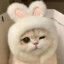晏宝