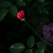 ☭/PRC/Capitalism KilleR