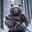 Bear Minimum