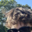 sebbern