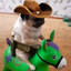 cowboy MOPS 1337