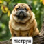 пiструн