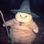 Cat Wizard