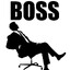CEO VLG