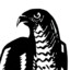 The Saltese Falcon