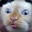 LilPapiCat