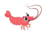 shrimp