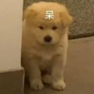 付导的弟弟，不导