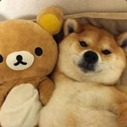 举报不了你，我好气