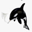 ORCA FUMANDO LUCKY CLICK
